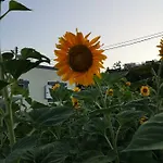 Appartamento Eleni Kéfalos