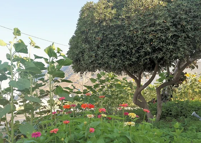 شقة Eleni Kéfalos