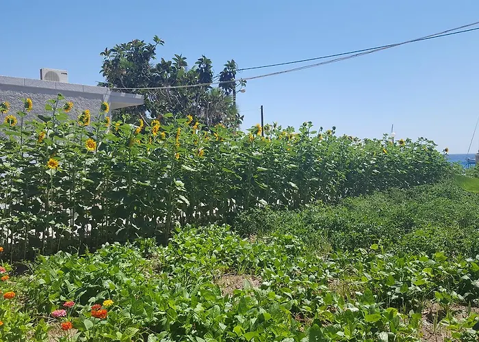 شقة Eleni Kéfalos