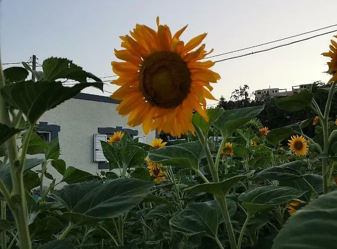 شقة Eleni Kéfalos