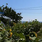 Eleni *