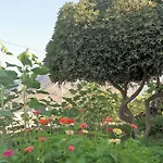 Apartment Eleni Kefalos (Kos)